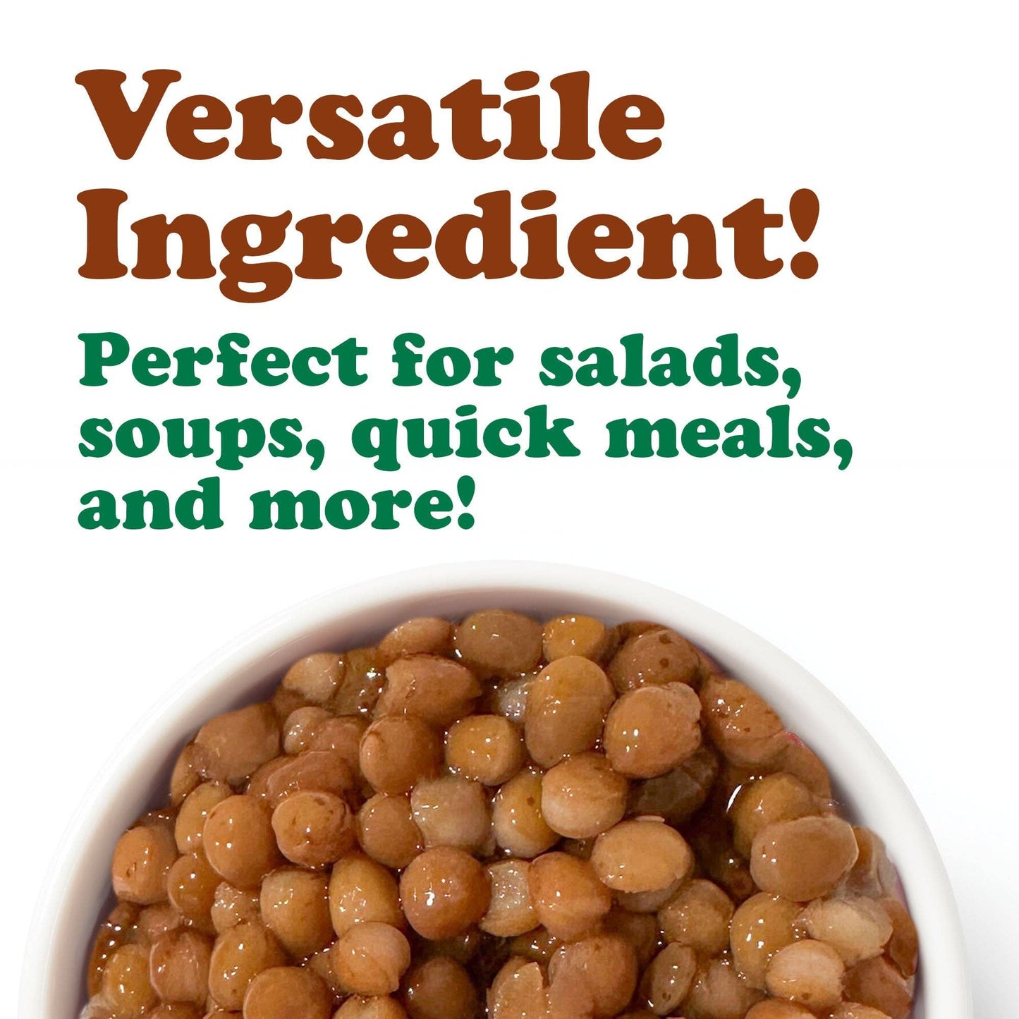 Organic Canned Lentils – Unsalted, Non-GMO, Vegan – by Food to Live