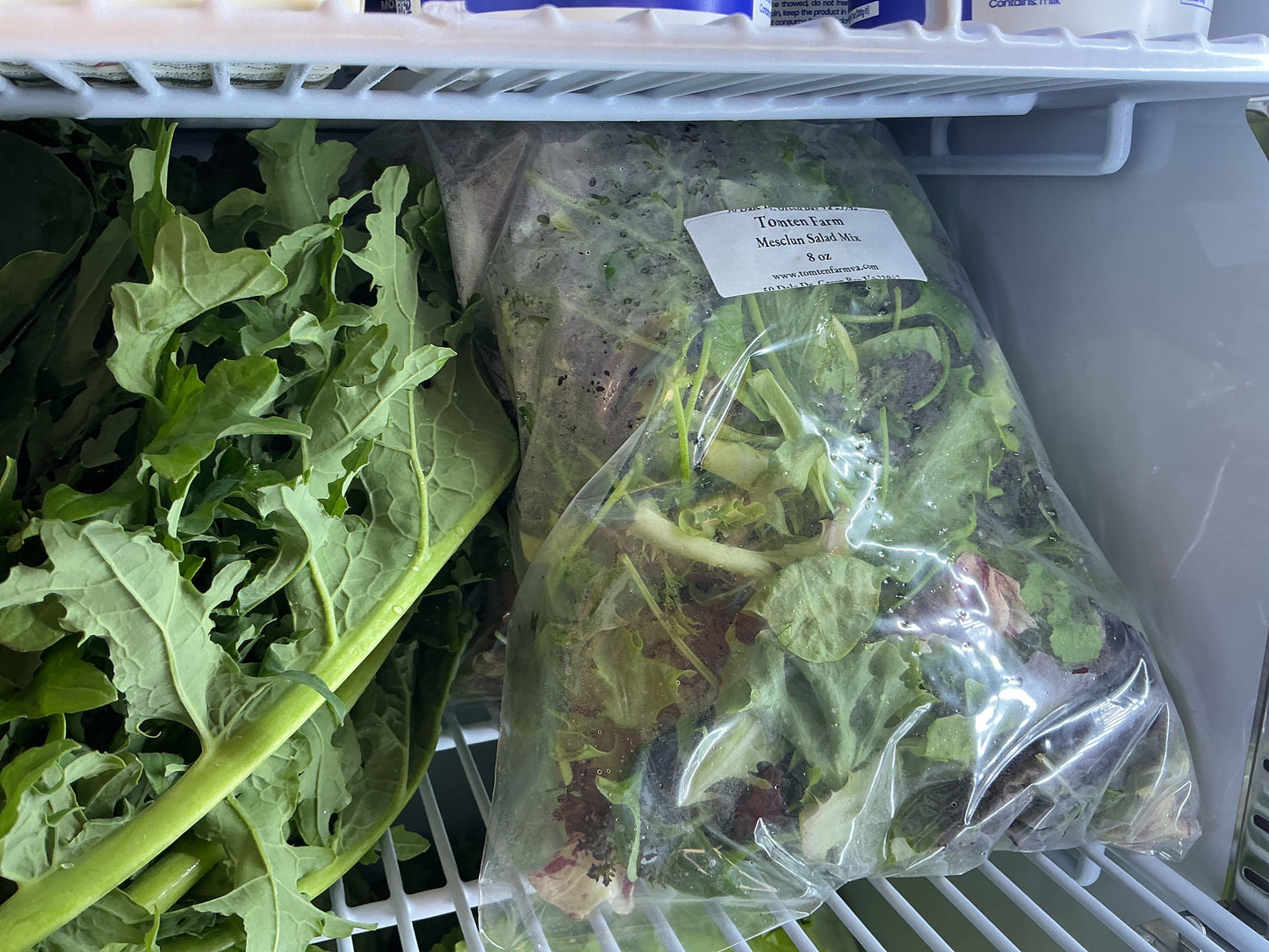 Salad Mix - Tomten