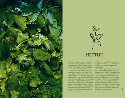 Wild Figs and Fennel