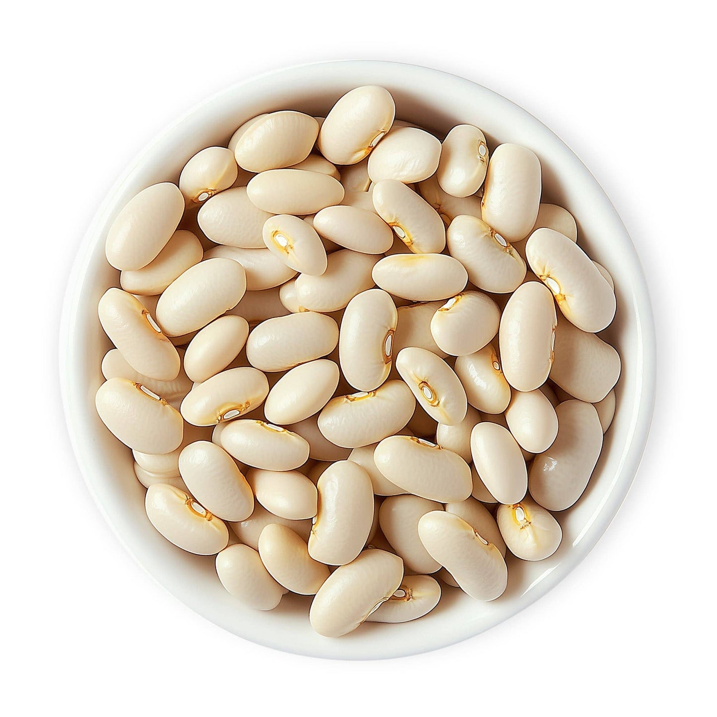 Organic Italian Canned Cannellini Beans, 14 oz